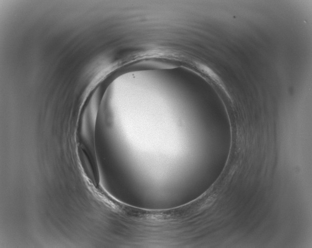X0000080151330200612081312