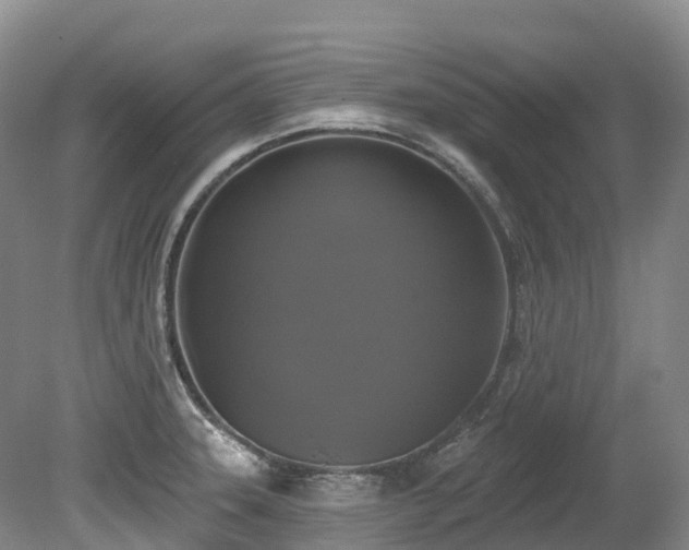 X0000080151331200612081312