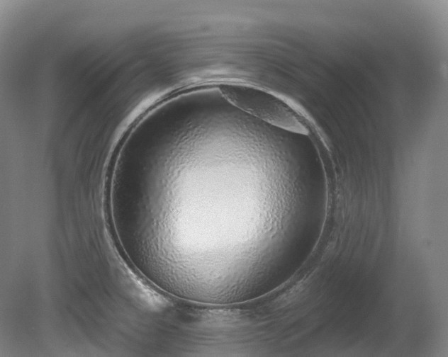 X0000080151333200612081312