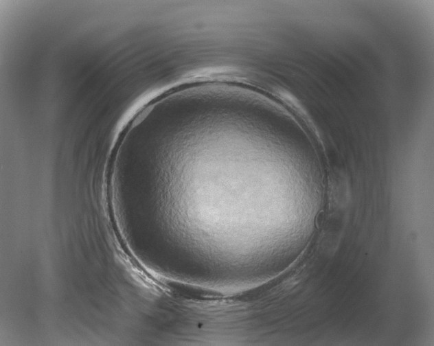 X0000080151336200612081312