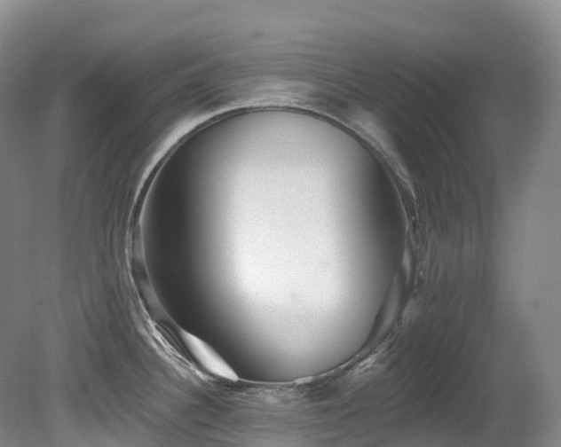 X0000080151340200612081312