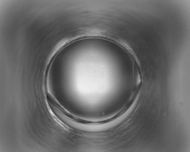 X0000080151342200612081312