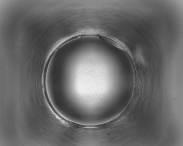 X0000080151343200612081312