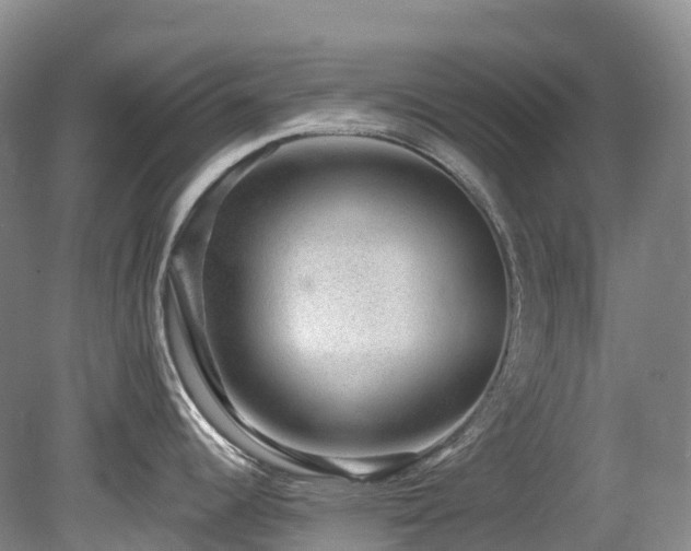 X0000080151344200612081312