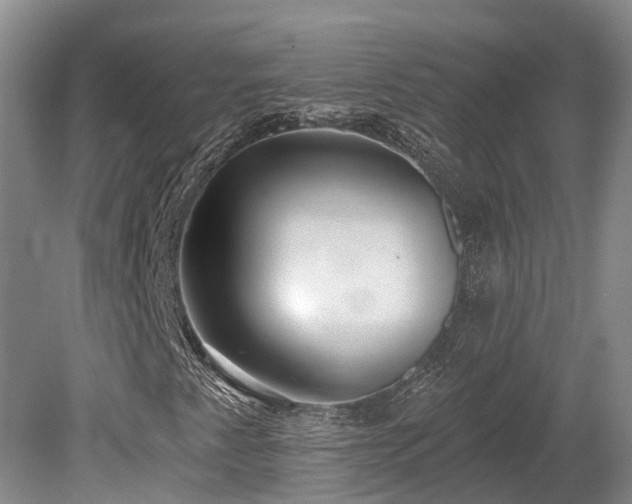 X0000080151345200612081311
