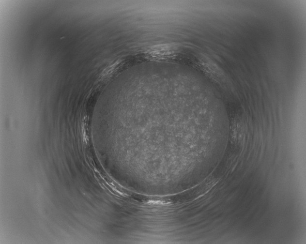 X0000080151346200612081311