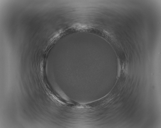 X0000080151348200612081311