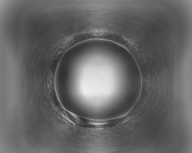 X0000080151349200612081311
