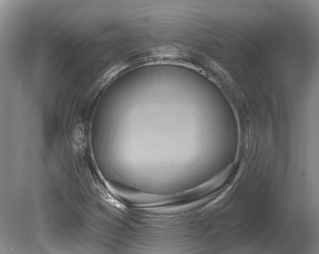 X0000080151353200612081311