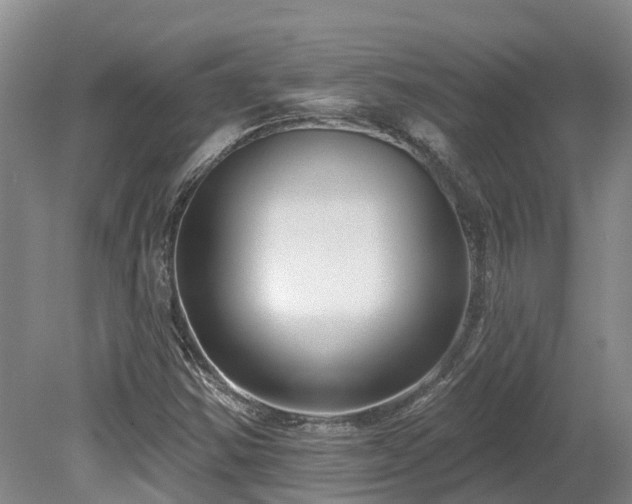X0000080151354200612081311