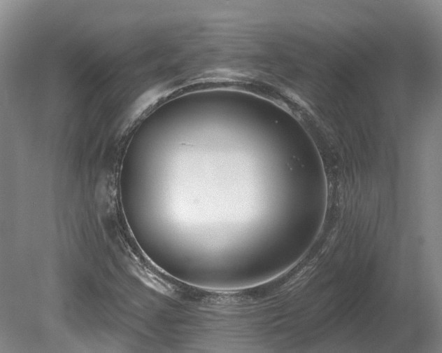 X0000080151355200612081311
