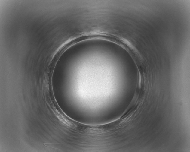 X0000080151356200612081311