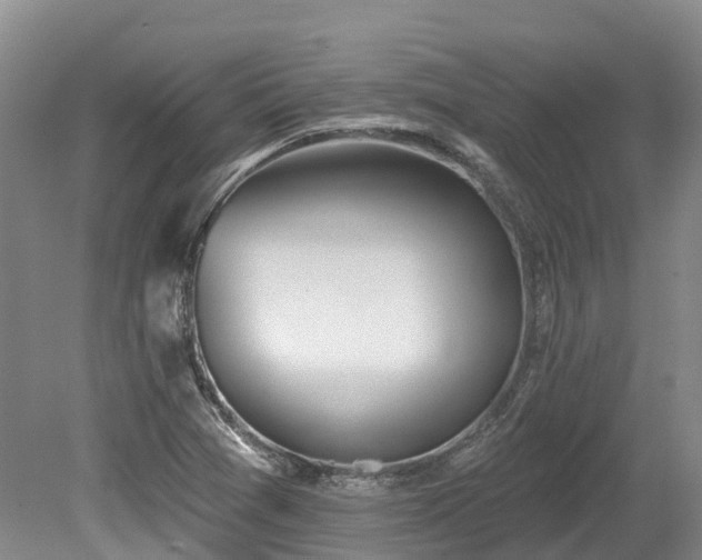 X0000080151361200612081311