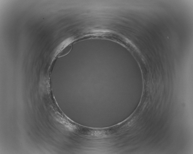 X0000080151362200612081311