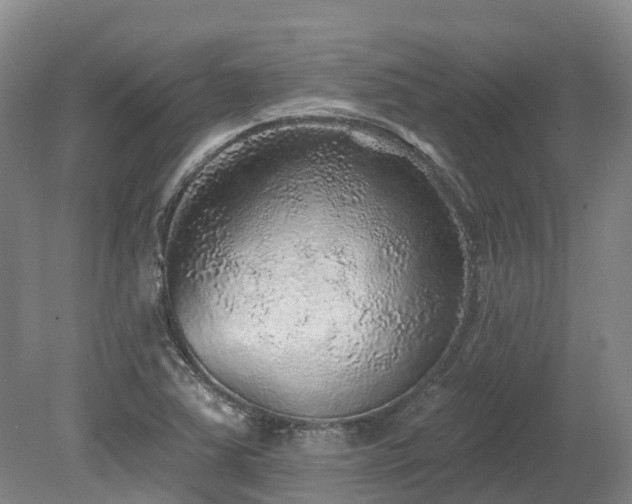 X0000080151363200612081311