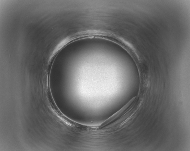 X0000080151365200612081311