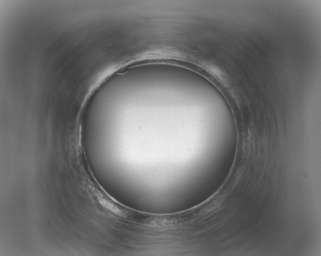 X0000080151366200612081311