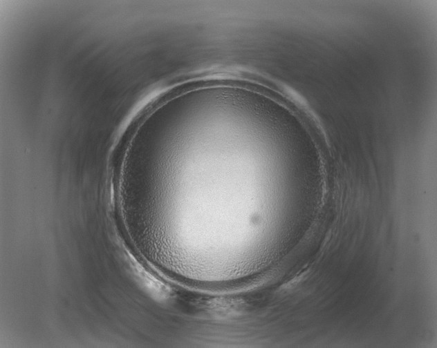 X0000080151368200612081311