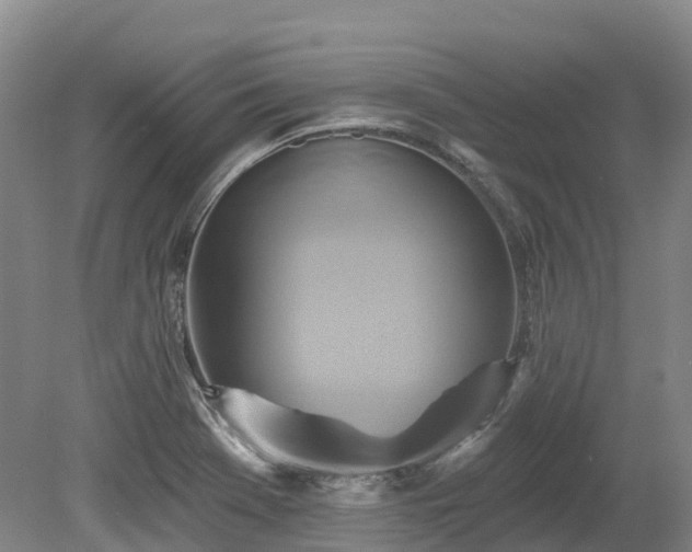X0000080151369200612081311