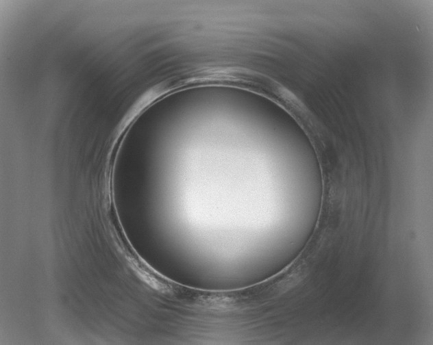 X0000080151370200612081311