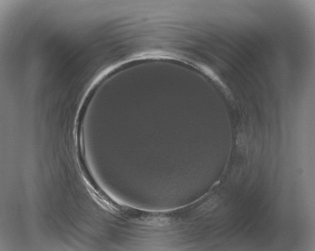 X0000080151372200612081311
