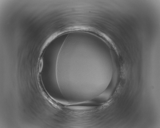 X0000080151373200612081311