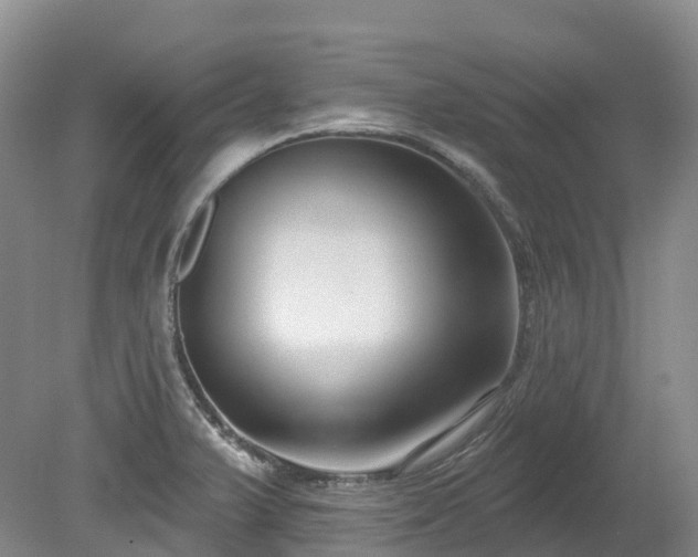 X0000080151375200612081311