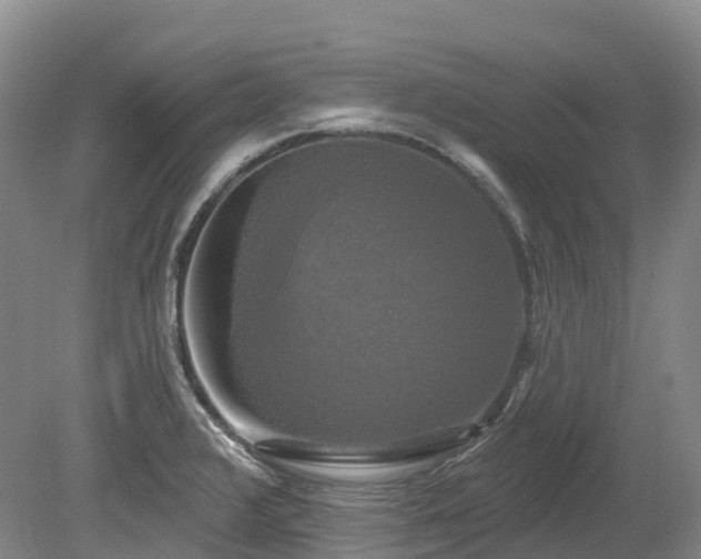 X0000080151376200612081310