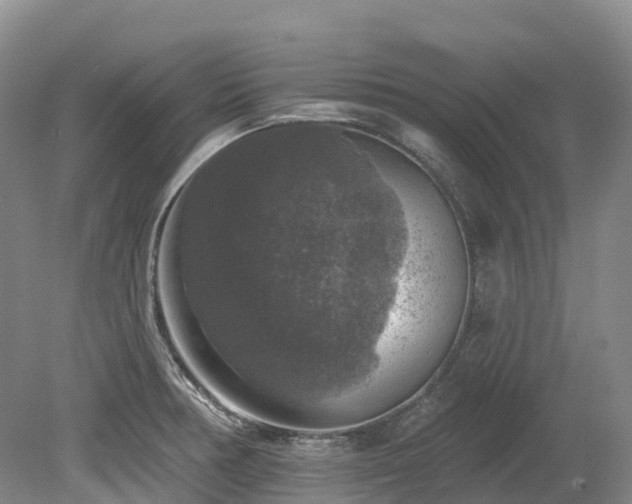 X0000080151378200612081310