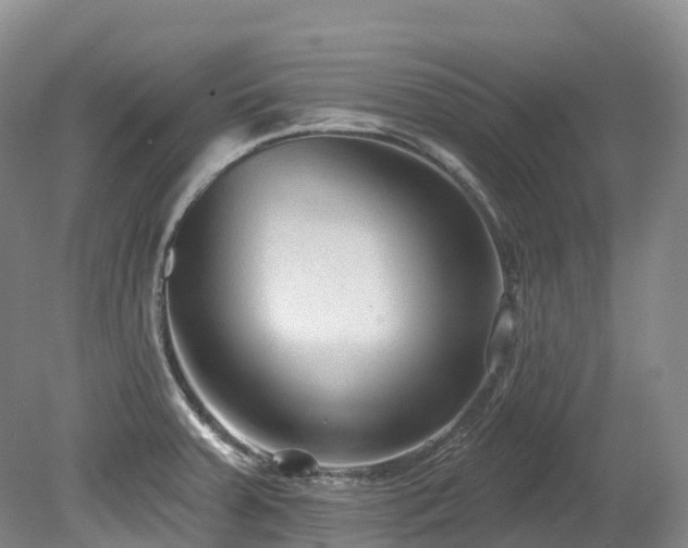 X0000080151379200612081310