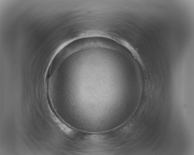 X0000080151380200612081310