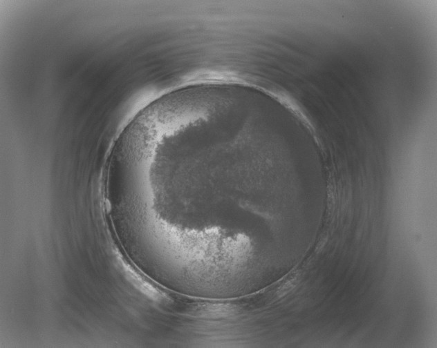 X0000080151382200612081310