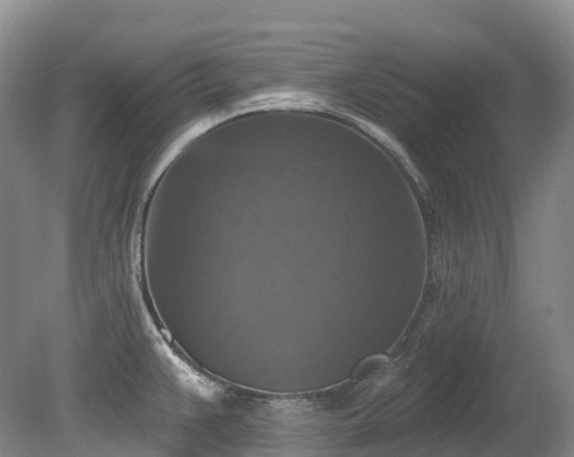 X0000080151383200612081310