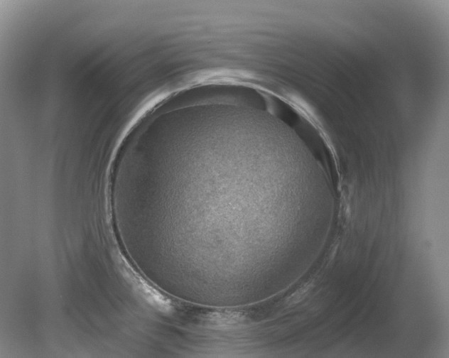 X0000080151384200612081310