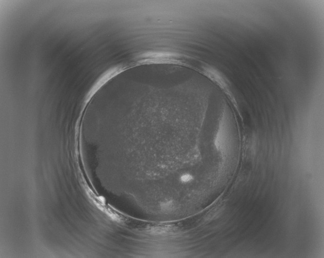 X0000080151386200612081310