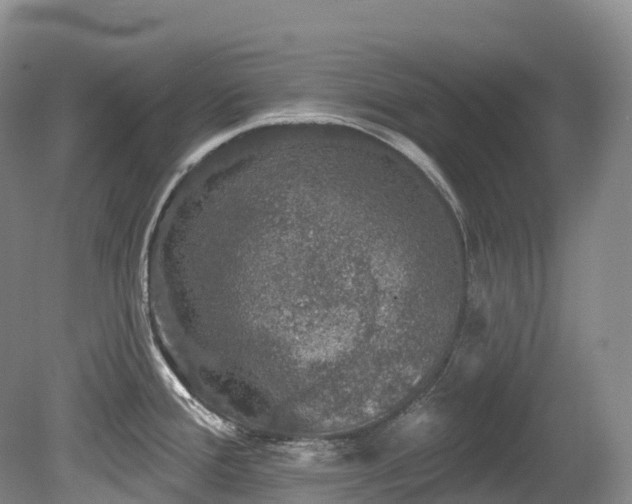 X0000080151388200612081310
