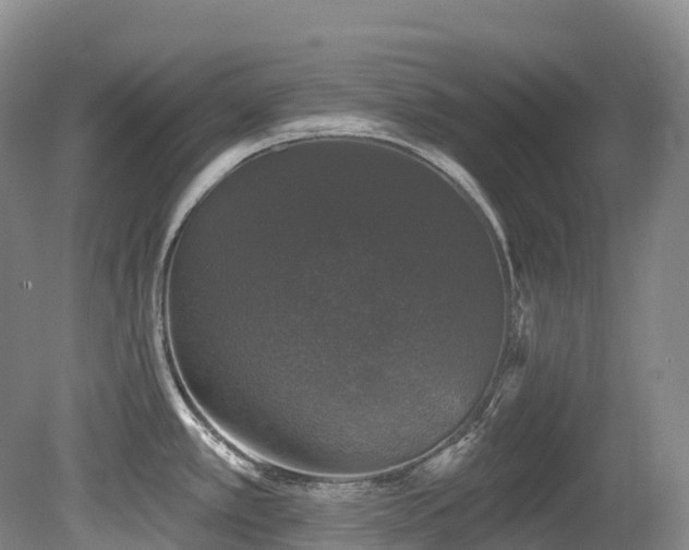 X0000080151389200612081310