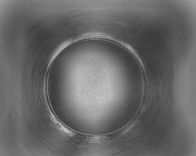 X0000080151390200612081310