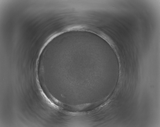 X0000080151392200612081310