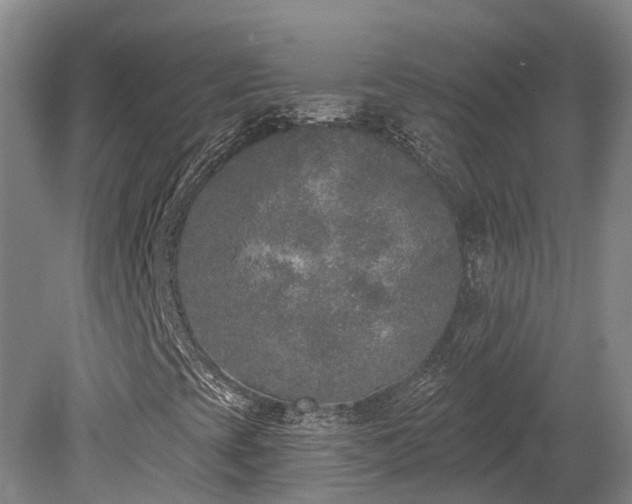 X0000080151393200612081309