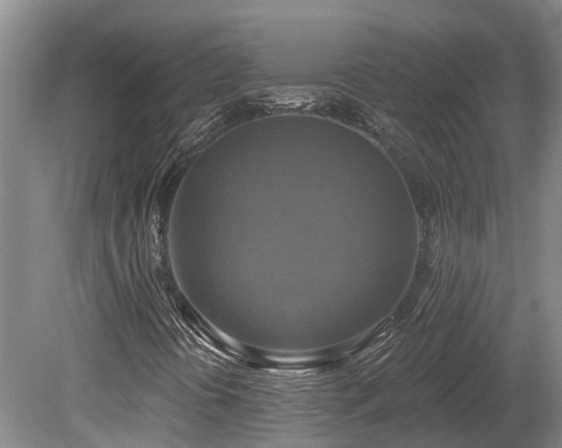 X0000080151394200612081309
