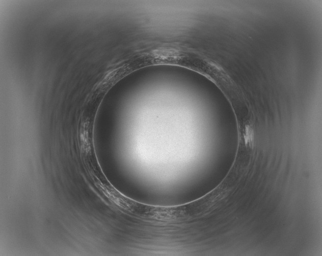 X0000080151396200612081309