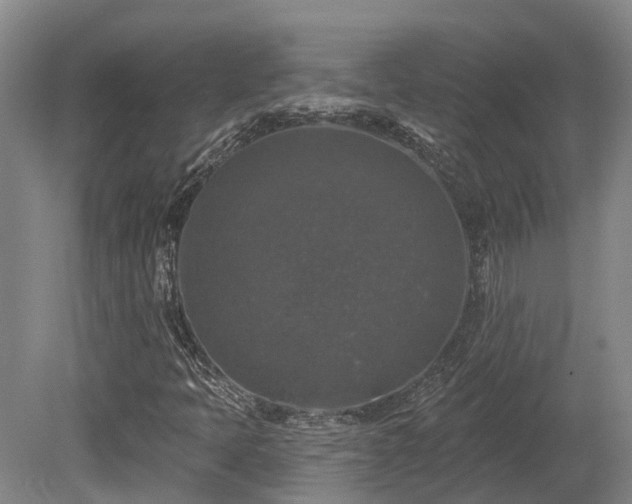X0000080151397200612081309