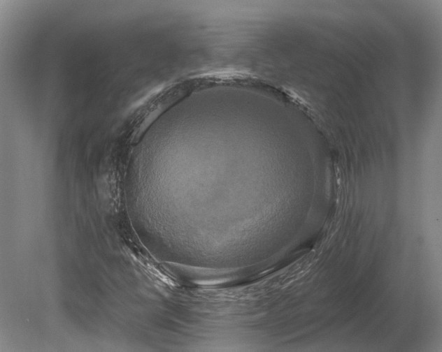 X0000080151398200612081309