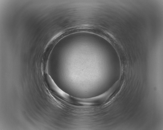 X0000080151402200612081310