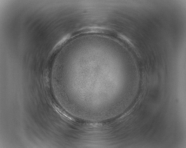 X0000080151403200612081310