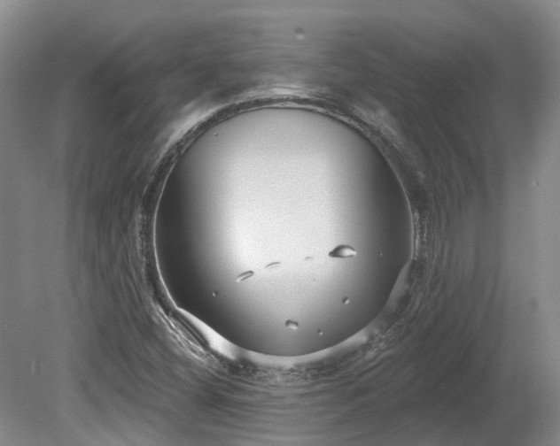 X0000080151404200612081310