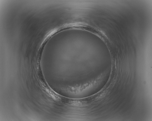 X0000080151405200612081310