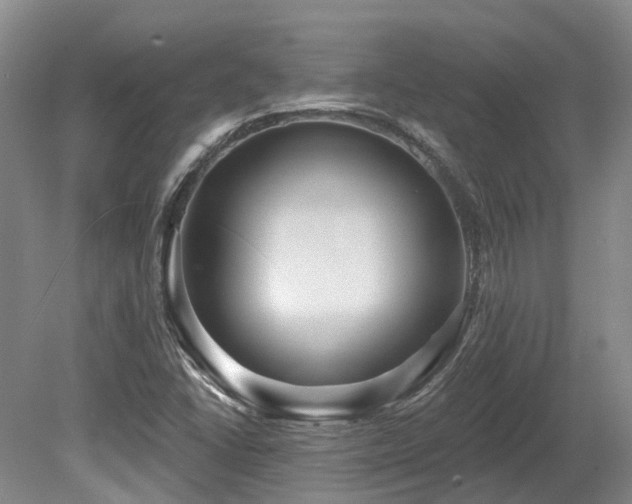 X0000080151406200612081310