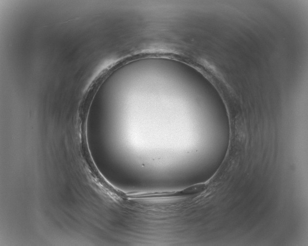X0000080151408200612081310